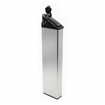 Battery Rothar Leictreach ALX 48V