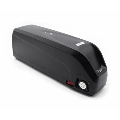 Battery Rothar Leictreach Hailong G80